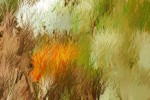 ODB_190712