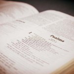 ODB_270213