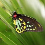 ODB_070313