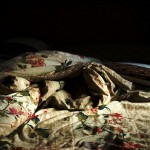 ODB_150413