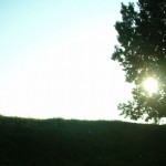 ODB_230513