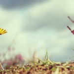 ODB_180414